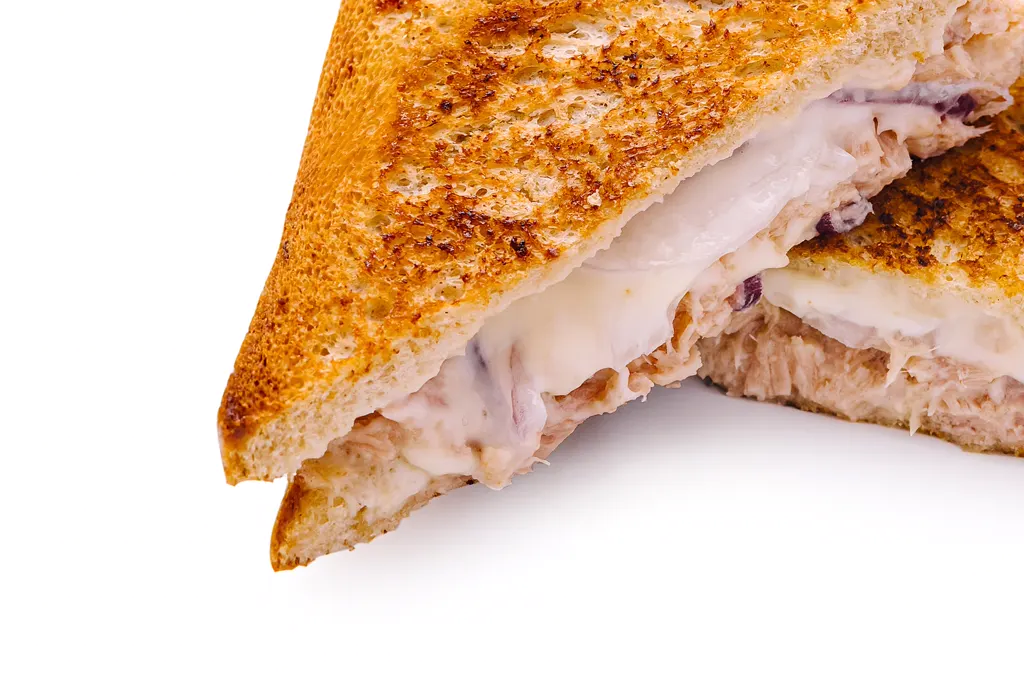 Toasted tuna melt sandwich